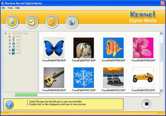 Nucleus Kernel Digital Media Recovery Software