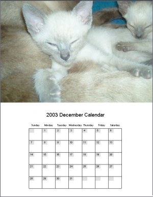 Calendars Software for cool calendars