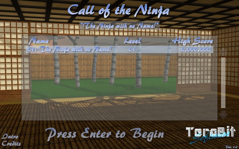 Call of the Ninja