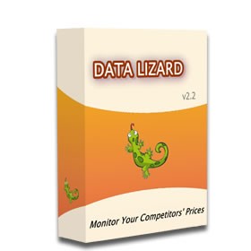 Data Lizard