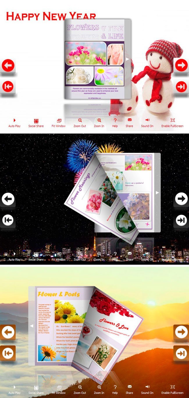 Flip_Themes_Package_Lively_New_Year