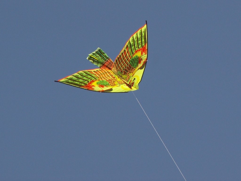 Free Kite Screensaver