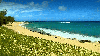 Hawaii Beaches HD Video Screensaver