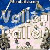 Volley Balley (PalmOS)