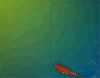 Animated Fish Desktop Wallpaper