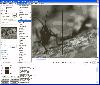 GdPicture Pro OCX - Image Processing ActiveX