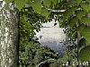 Living Forest 3D Screensaver