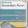 Multimedia Accordion Panel