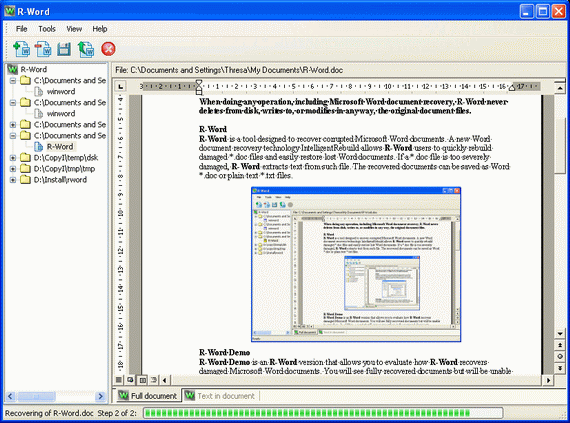 !R-Word Recovery Software