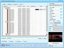 DDVideo DVD to Palm Converter Gain
