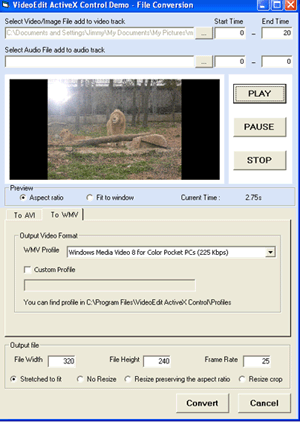 Video Edit ActiveX Control