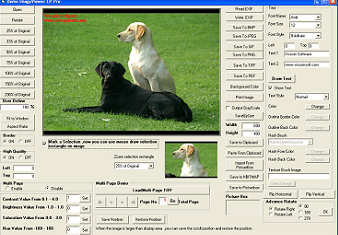Image Viewer CP Pro