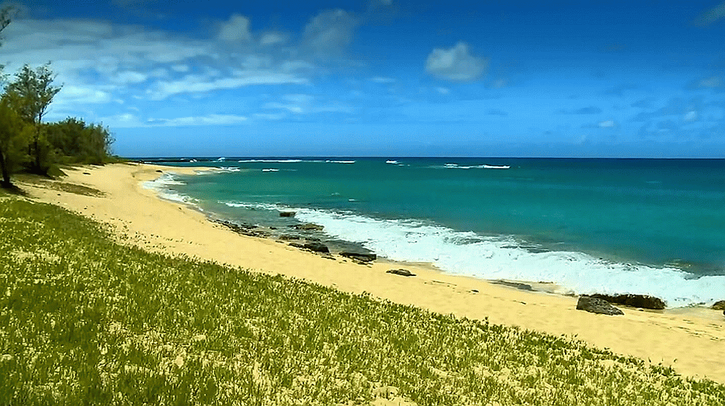 Hawaii Beaches HD Video Screensaver