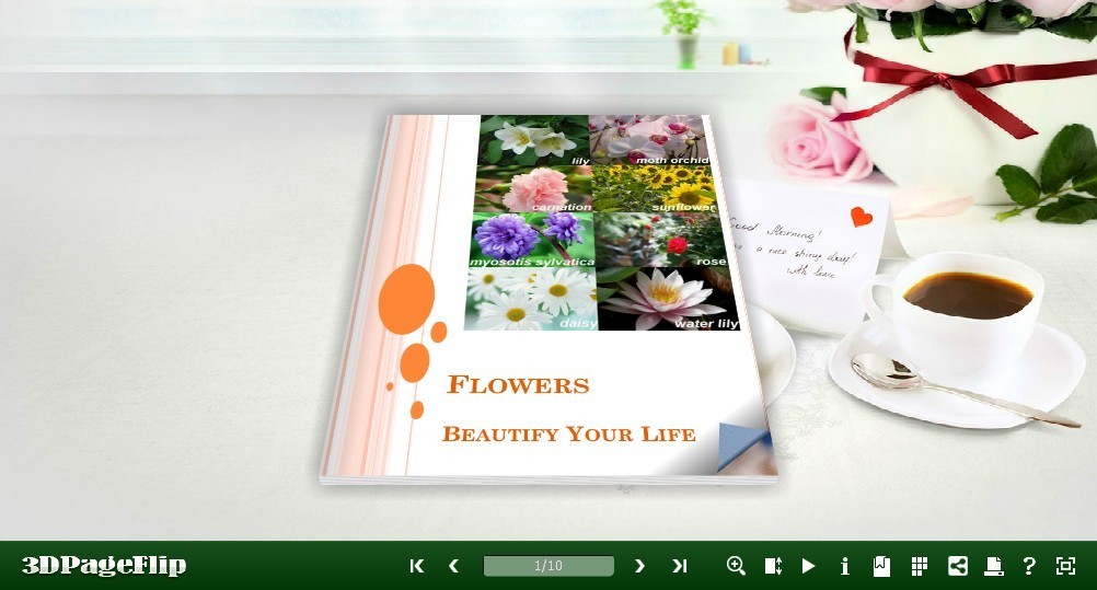 3D PageFlip Free Simple Life Templates