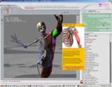 3D Virtual Human Anatomy Studio
