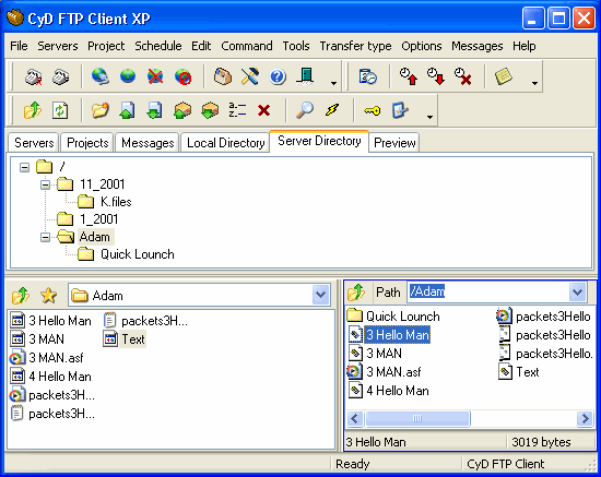 CyD FTP Client XP