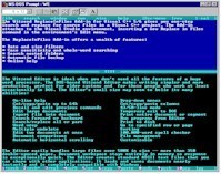 Witzend Editor for DOS