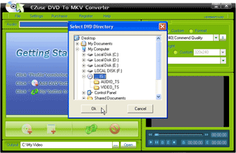 EZuse DVD To MKV Converter