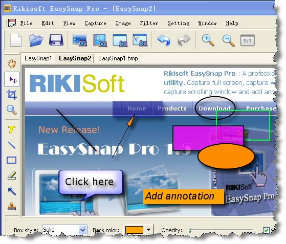 Rikisoft EasySnap Pro