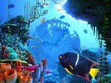 Coral Clock 3D Photo Screensaver