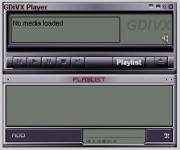 Global DivX Player