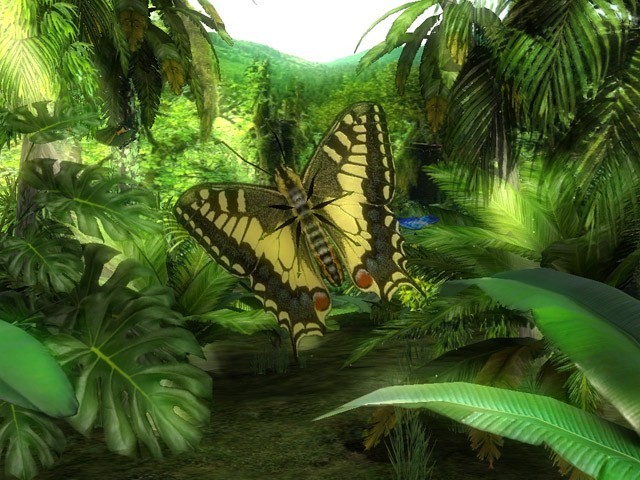 Butterfly Jungle 3D Screensaver