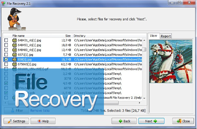 SWM File Recovery