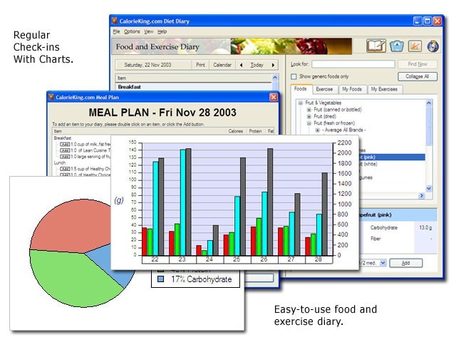 CalorieKing.com Desktop Diet Diary for Windows