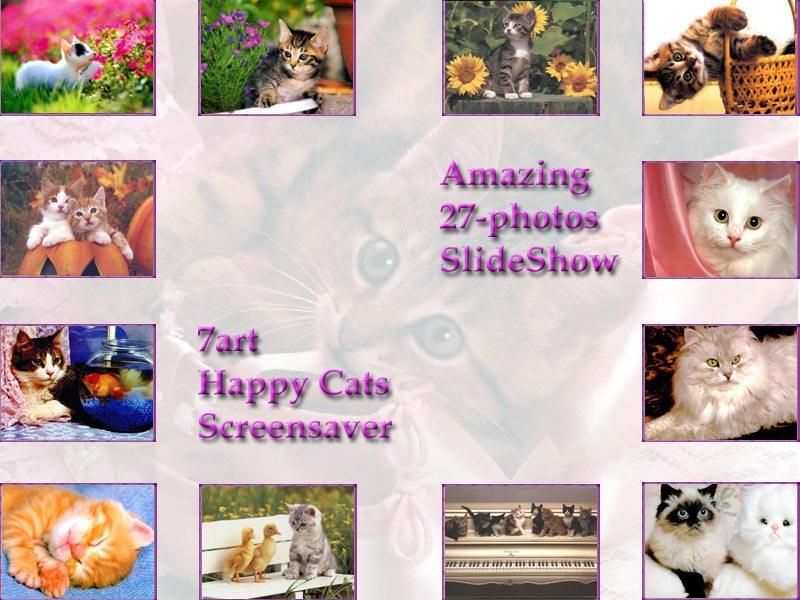 7art Lovely Kittens ScreenSaver