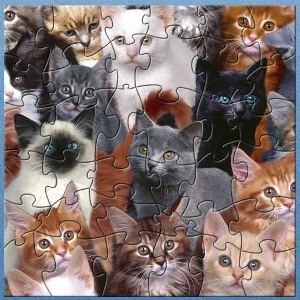 AG Kitty Cats Puzzle