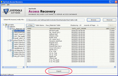 Access Password File Recovery Software