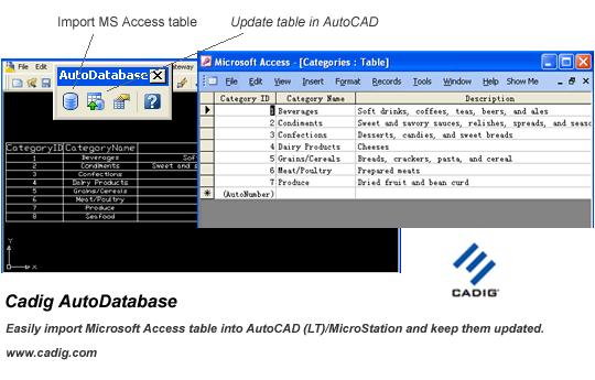 AutoCAD Access - AutoDatabase