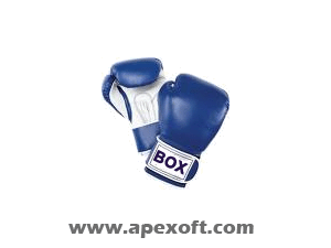 Boxing News Gadget for Vista