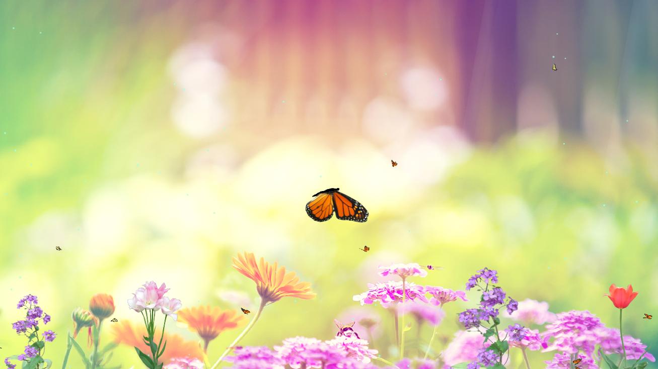 Butterfly Paradise Screensaver