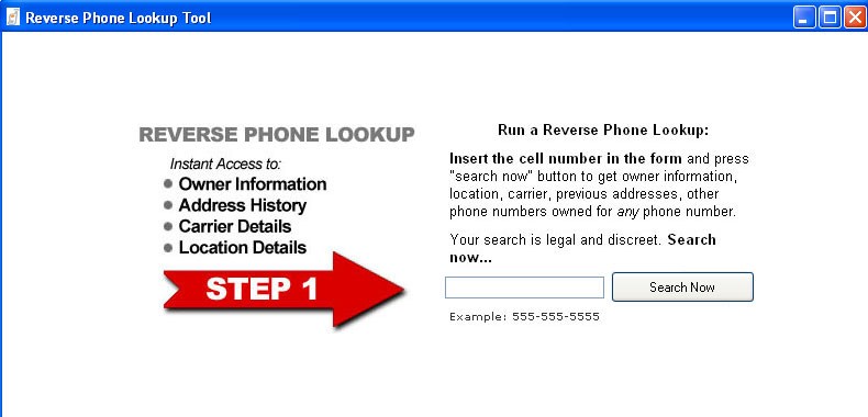 Cell phone reverse search