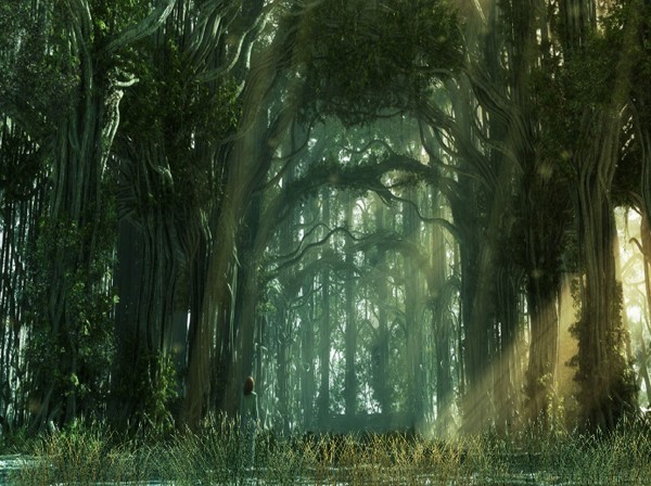 Dark Forest Animated Wallpaper
