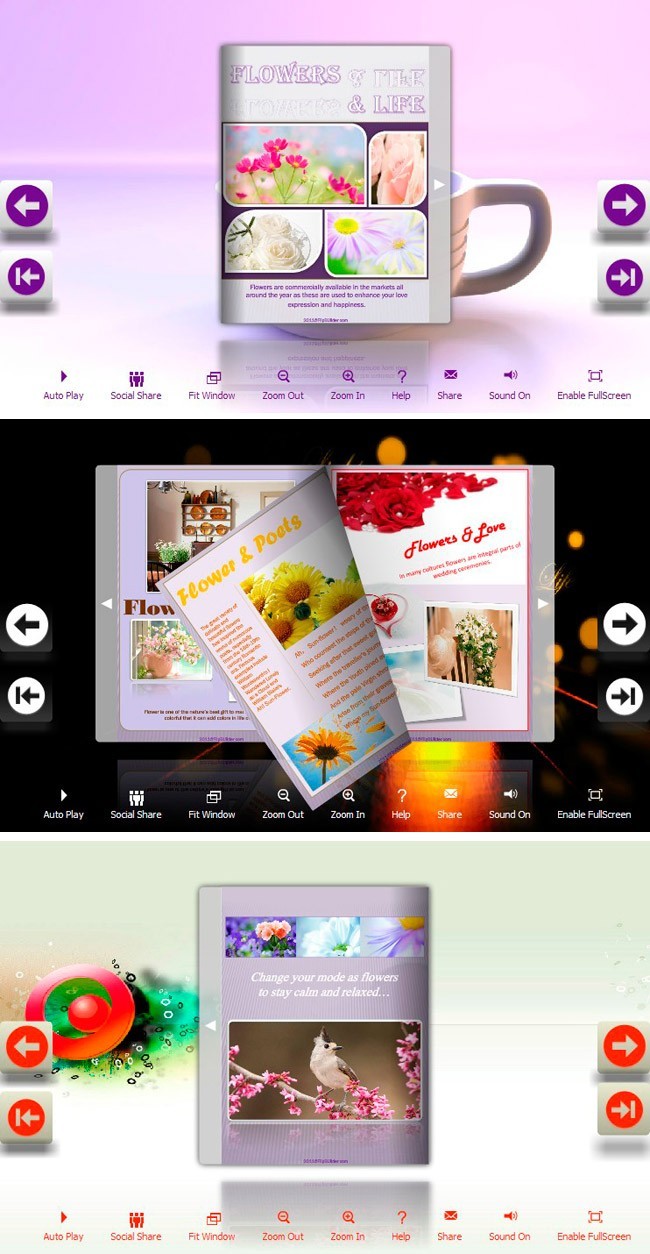Flip_Themes_Package_Lively_Warm