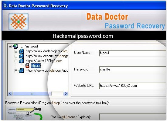 Forgotten Password Recovery