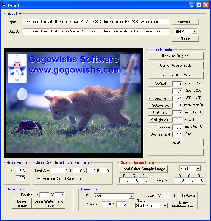 GOGO Picture Viewer Pro ActiveX OCX (Twice Developer)
