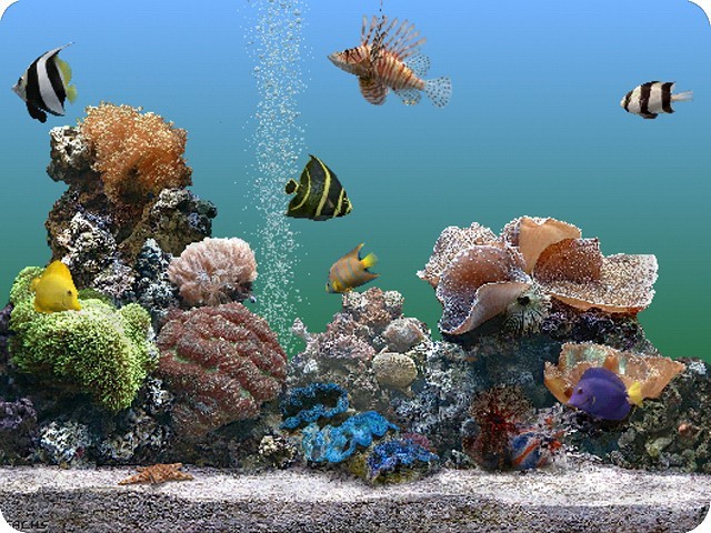 Marine Aquarium OS 9