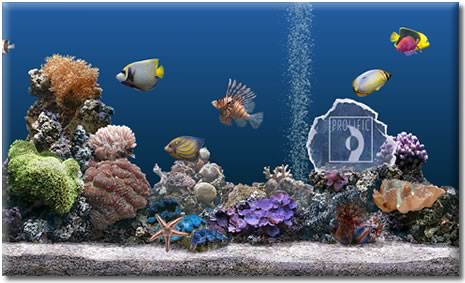 Marine Aquarium Time