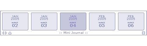 Mini Journal