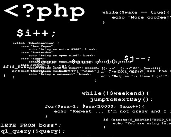 PHP Programmers Brain