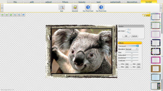 Photocoolex Flash Image Editor Script
