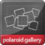 Polaroid Gallery FX