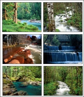 Rivers In Nature Screensaver