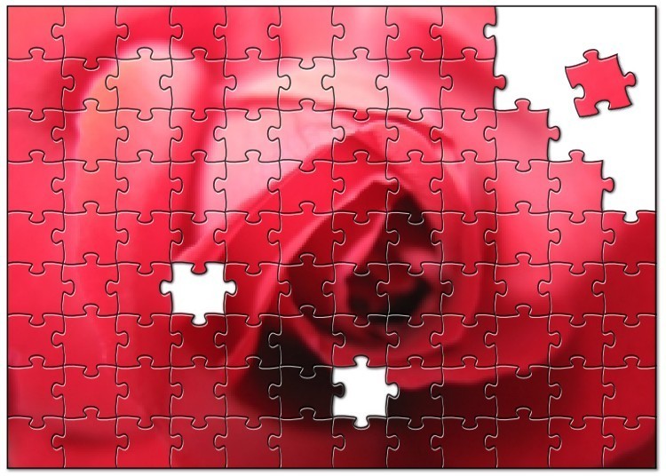 Rose Jigsaw Puzzle