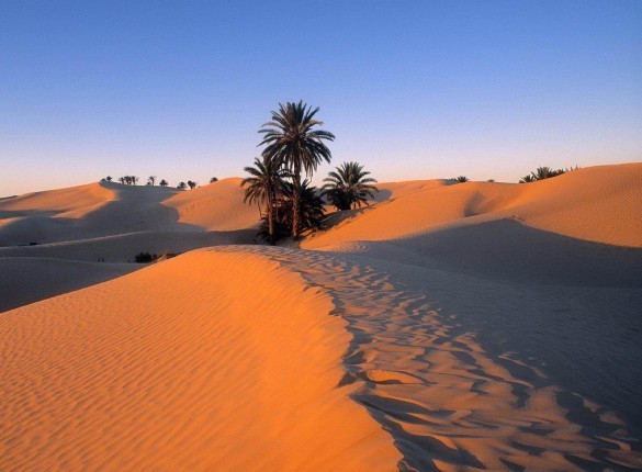 Sahara Desert Screensaver