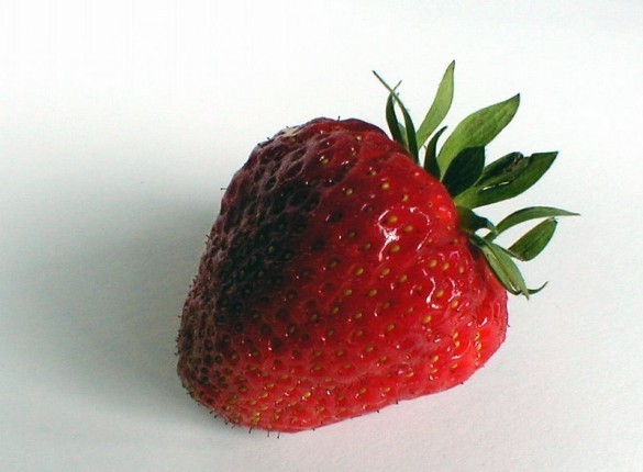 Strawberry Screensaver