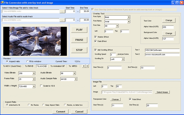 VISCOM Video Edit Pro ActiveX Control